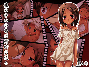 籠の中の小鳥は何時出遣る 総彩色版 [DL版]の表紙画像