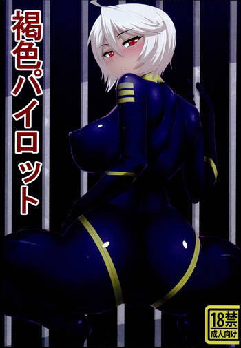 褐色パイロットの表紙画像