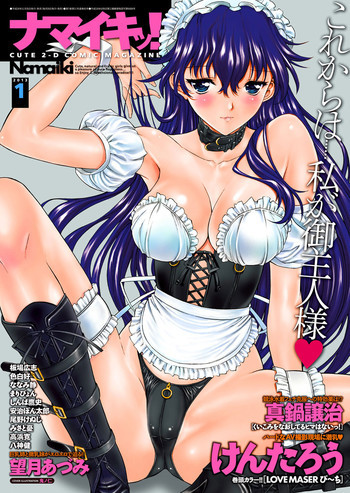 ナマイキッ！ 2013年1月号 [DL版]の表紙画像