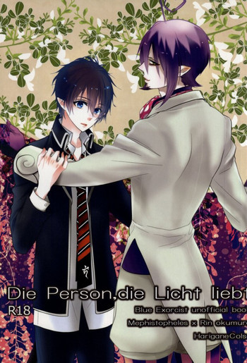 Die Person, die Licht liebtの表紙画像