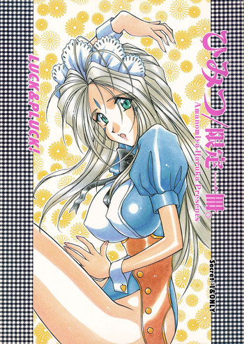 ひみつ／限定一冊。の表紙画像