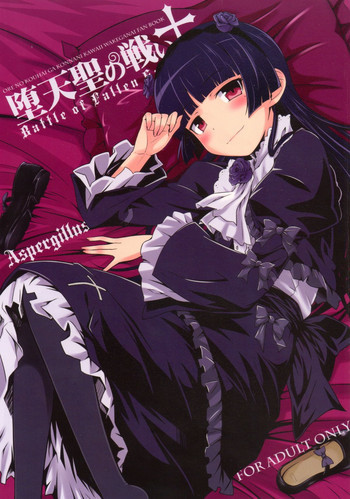 堕天聖の戦いの表紙画像