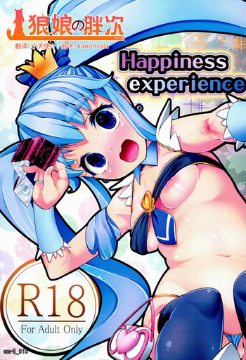 Happiness experienceの表紙画像