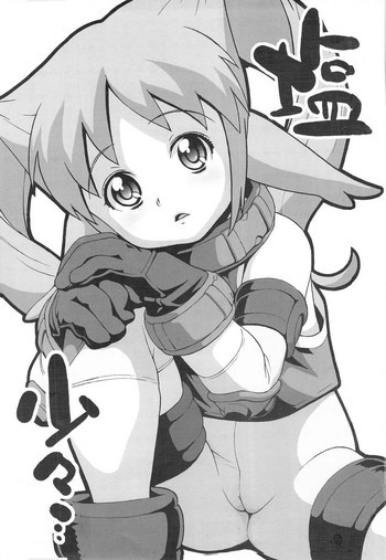 塩少々・・・の表紙画像