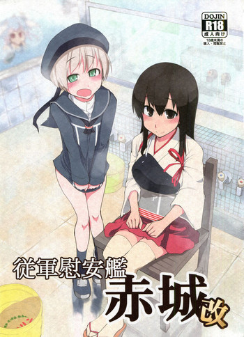 従軍慰安艦 赤城 改の表紙画像