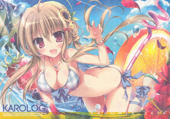 かんこれみっくす 弐の表紙画像