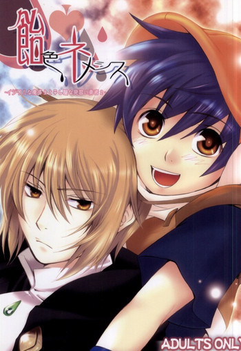 飴色ネメシスの表紙画像