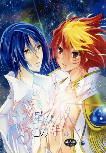 流れ星はこの手にの表紙画像