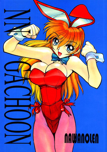 NN GACHOONの表紙画像