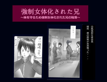 強制女体化兄の表紙画像