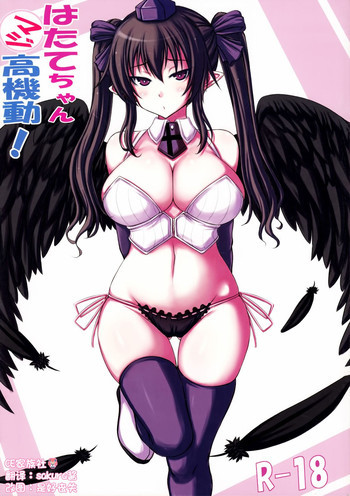 はたてちゃんマジ高機動の表紙画像