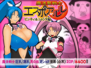 魔法聖戦士エスポアルルの表紙画像