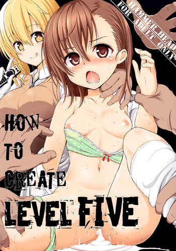 HOW TO CREATE LEVEL FIVEの表紙画像
