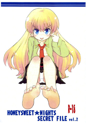 HONEYSWEET★NIGHTS SECRET FILE vol.2の表紙画像