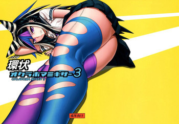 環状オクラホマミキサー3の表紙画像