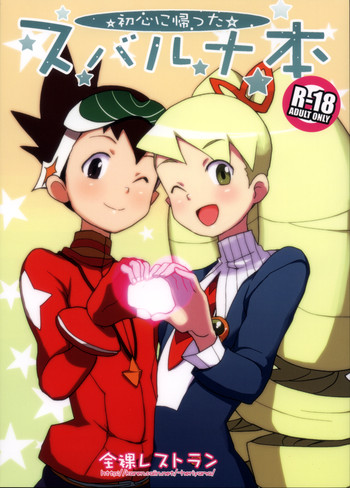 初心に帰ったスバルナ本の表紙画像