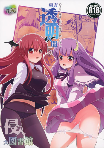 東方透明人間5 侵入 大図書館の表紙画像