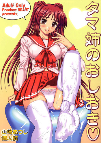 タマ姉のおしおきの表紙画像