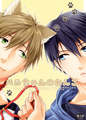 ハルちゃんのわんこの表紙画像