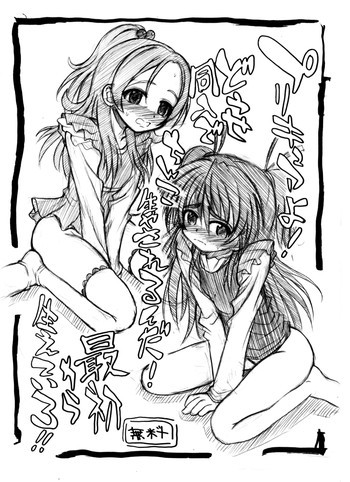 2011冬コミコピー本の表紙画像