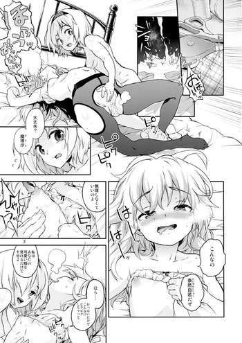 東方てれびさん4の表紙画像
