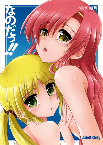 なのだっ!!の表紙画像