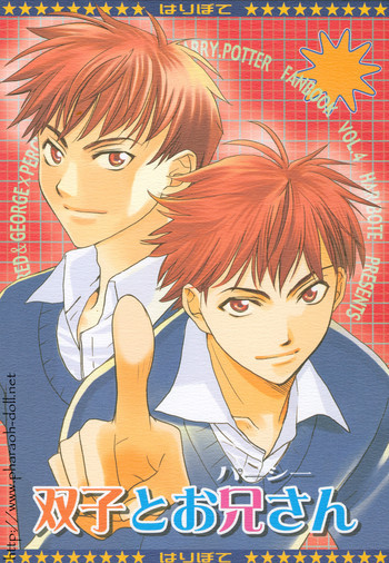 双子とお兄さんの表紙画像