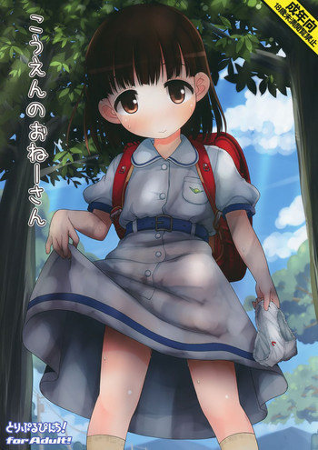 こうえんのおねーさんの表紙画像