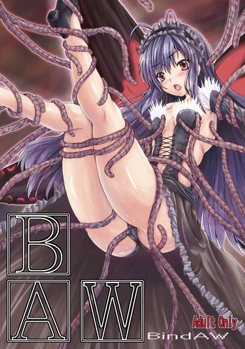 Bind AWの表紙画像