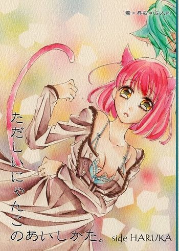 ただしいにゃんこのあいしかた。side HARUKAの表紙画像