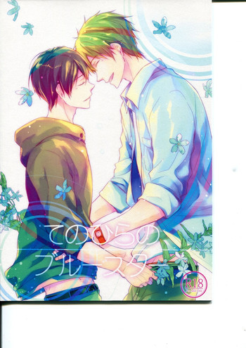 てのひらのブルースターの表紙画像