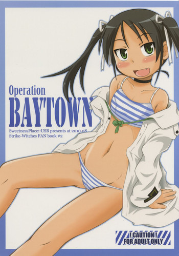 Operation BAYTOWNの表紙画像