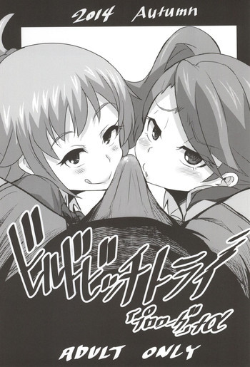 ビルドビッチトライの表紙画像