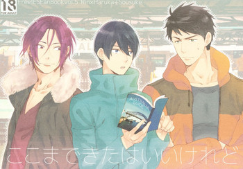 ここまできたはいいけれどの表紙画像