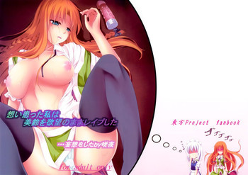 想い患った私は美鈴を欲望のままレイプした・・・妄想をしたby咲夜の表紙画像