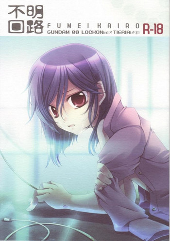 不明回路の表紙画像