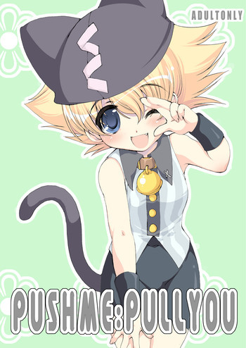 PUSHME:PULLYOUの表紙画像