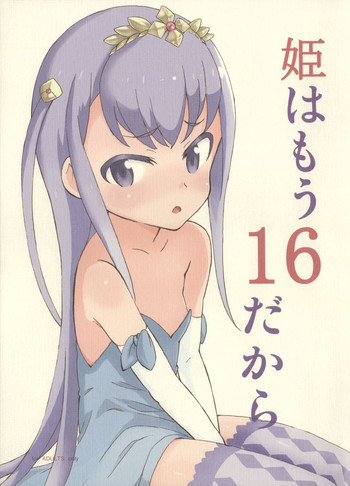 姫はもう16だからの表紙画像