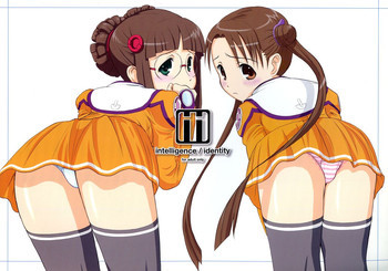 intelligence/identityの表紙画像