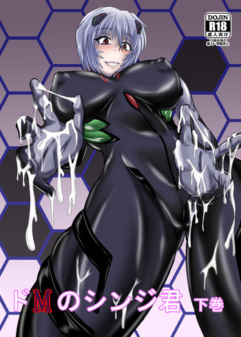 Third Neon Genesis Evangelionの表紙画像