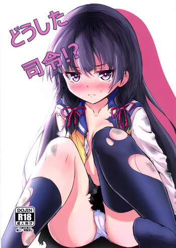 どうした司令!?の表紙画像