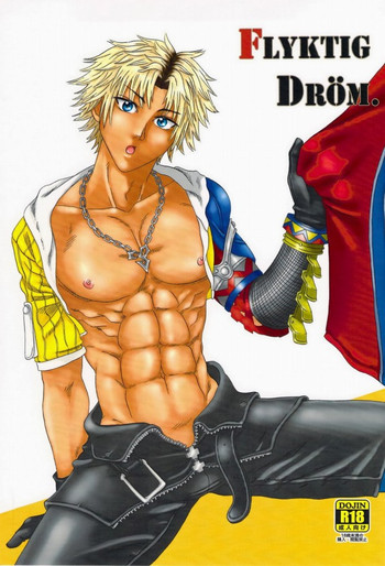 FLYKTIG DRÖM.の表紙画像