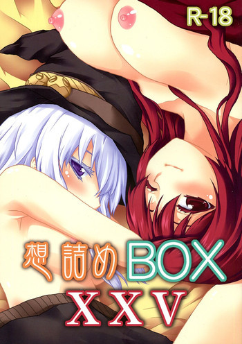 想詰めBOX XXVの表紙画像