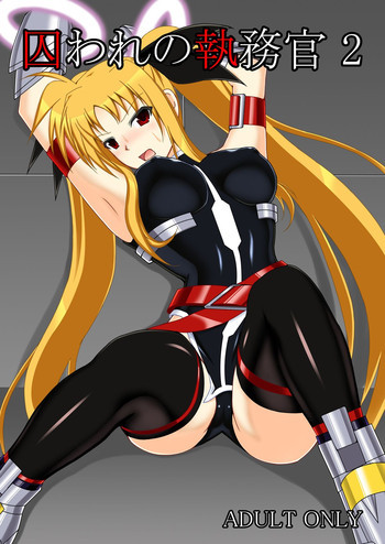 囚われの執務官2の表紙画像