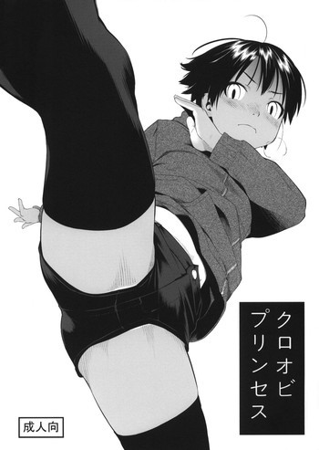 クロオビプリンセス + コミティア112ペーパーの表紙画像