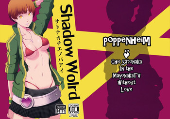 Shadow World サトナカチエノバアイの表紙画像