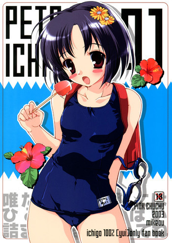 PETA ICHI 01の表紙画像