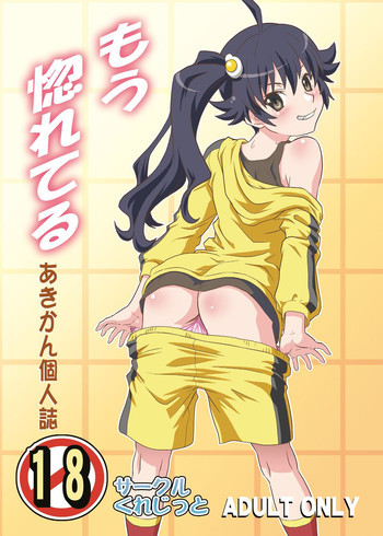 もう惚れてるの表紙画像