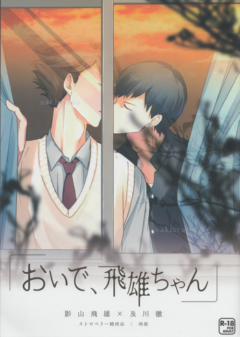 おいで、飛雄ちゃん。の表紙画像