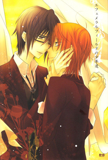 エフェメラルフィールドの少年達の表紙画像